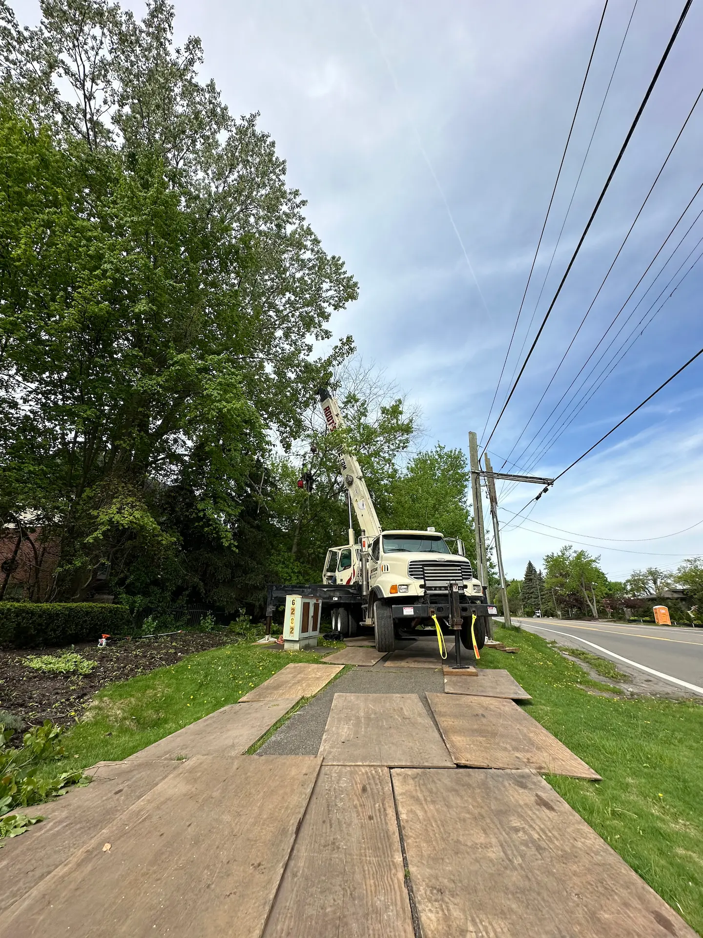 A crane truck on wooden planks near a tree and power lines, performing tree trimming or removal.